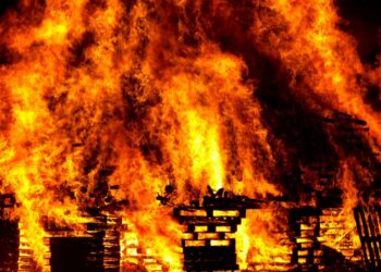 Usa lanciafiamme improvvisato contro uno scarafaggio, incendio devasta palazzo