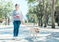 Passeggi con il cane in estate? Questi errori possono costargli caro