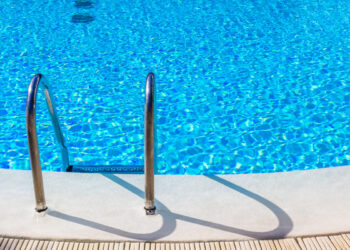 Un ospite inatteso invade la piscina: il video diventa virale